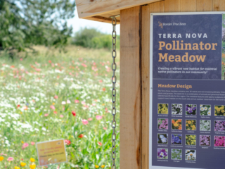 The didactic apiary at the Terra Nova Pollinator Meadow