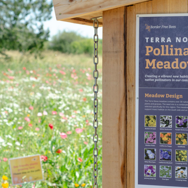 The didactic apiary at the Terra Nova Pollinator Meadow