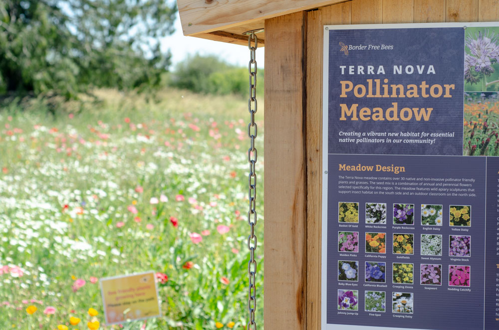 The didactic apiary at the Terra Nova Pollinator Meadow