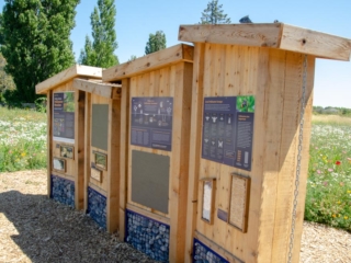 The pollinator apiary at the Terra Nova Pollinator Meadow