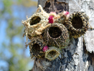 "Bumble Baskets" at the Terra Nova Pollinator Meadow