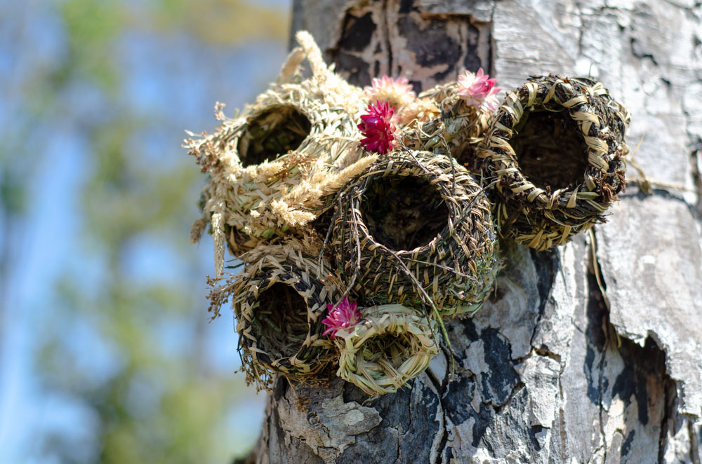 "Bumble Baskets" at the Terra Nova Pollinator Meadow